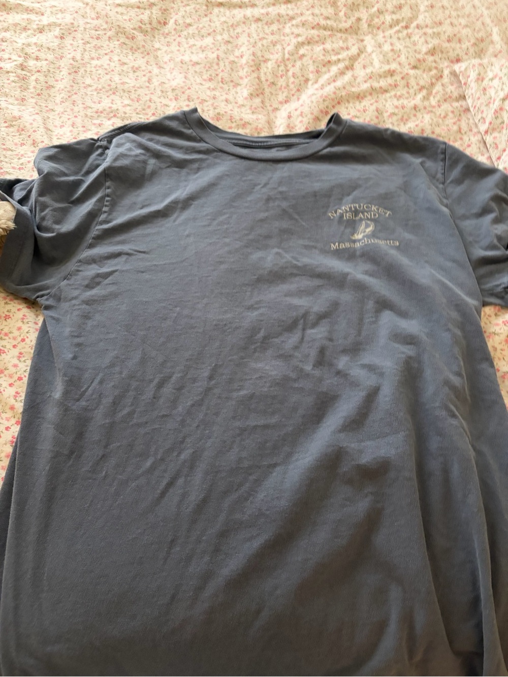 Brandy Melville Slate Blue Nantucket Graphic Crew Tee